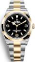 Rolex Explorer 36mm Oystersteel and Yellow Gold 124273